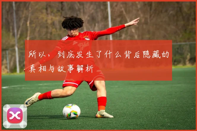 所以，到底发生了什么背后隐藏的真相与故事解析