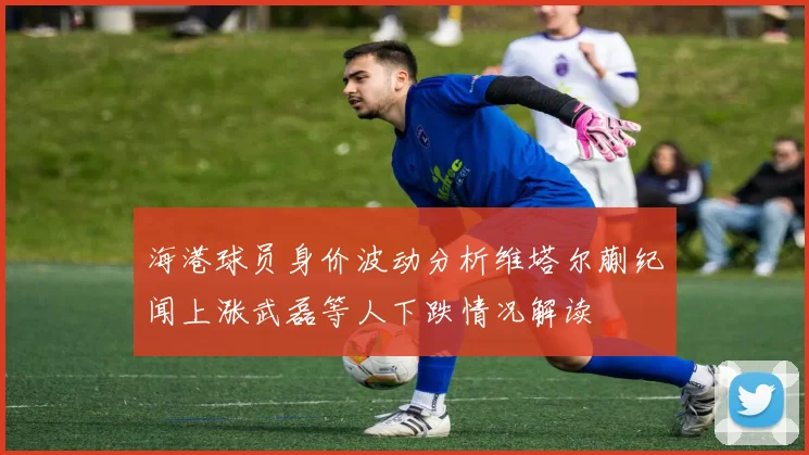 海港球员身价波动分析维塔尔蒯纪闻上涨武磊等人下跌情况解读